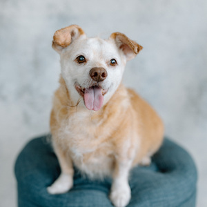 Fundraising Page: Bridget Arambula